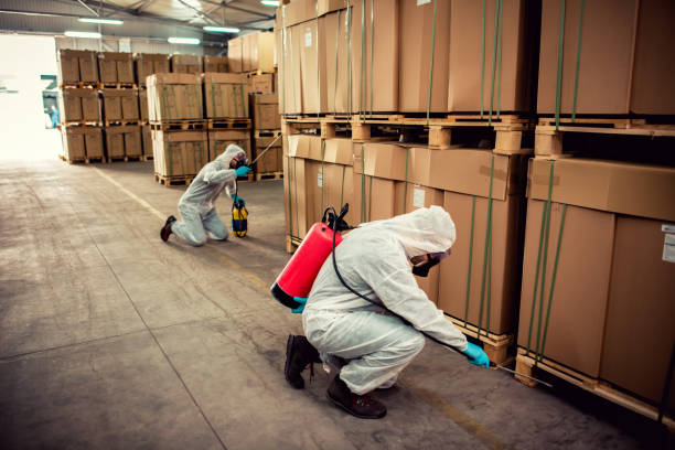 Reliable Sheffield, IA Pest Control Solutions