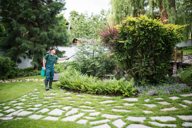 Best Pest Control Near Me  in Sheffield, IA