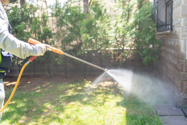 Best Affordable Pest Control Services  in Sheffield, IA
