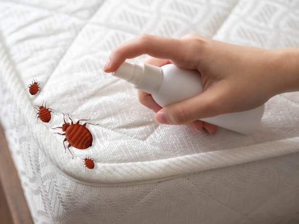 Best Pest Removal Services  in Sheffield, IA