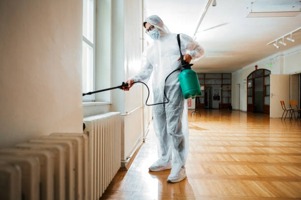 Best Pest Prevention Services  in Sheffield, IA