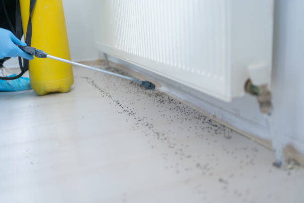 Best Best Pest Control Companies  in Sheffield, IA
